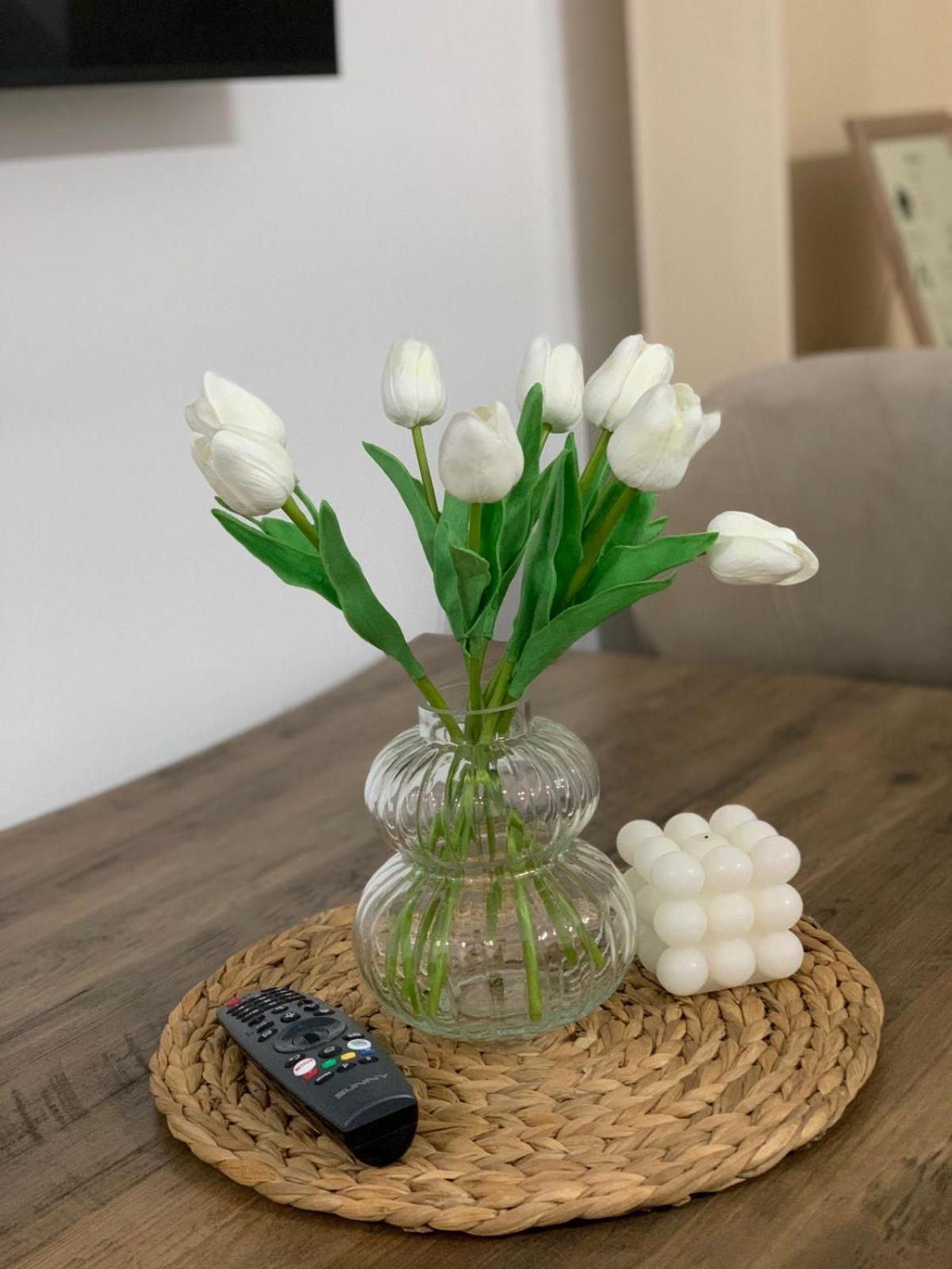 Ridi'S Comfort Apartment 2 شكودر المظهر الخارجي الصورة