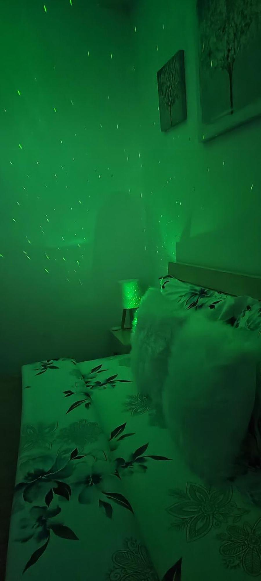 Ridi'S Comfort Apartment 2 شكودر المظهر الخارجي الصورة